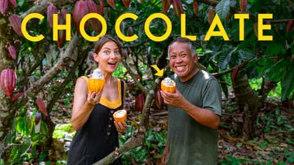 Inside One Of The World's Rarest Cacao Farms