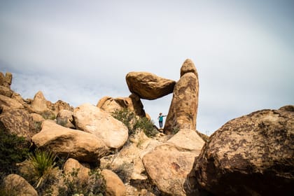 Exploring Big Bend National Park