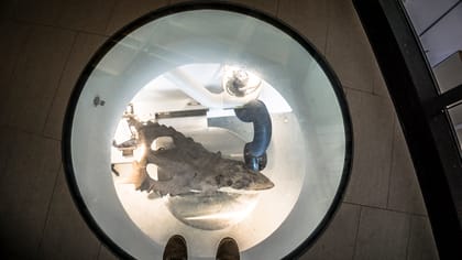 A Real Jurassic Park – Grande Prairie, Alberta