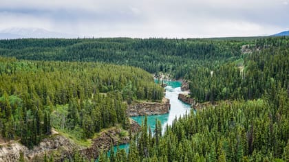 The Surprisingly Hip Whitehorse & Uneventful Klondike