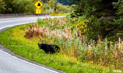 Alaska RV Road Trip Finale – BC Canada & Crossing The Border