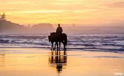 Free Wild Camping – Bastendorff Beach Oregon