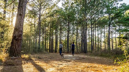 Full Time Sailing – Thoughts, Expectations & Uncertainties