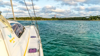 Q&A – Zombie Apocalypse, Gulf Stream & Traveling Cats