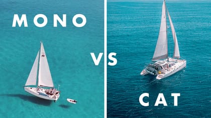 Cat vs Mono – Price & Performance