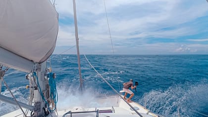 Hang On!!! Sharks, Dolphins & Big Waves