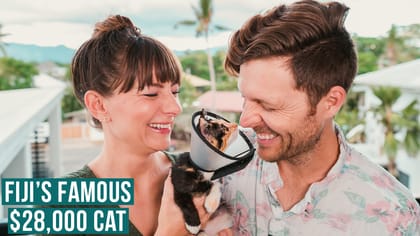 Saving Animals During A Pandemic