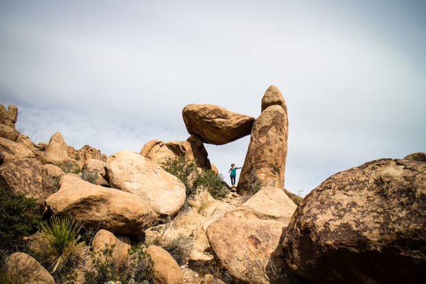 Exploring Big Bend National Park