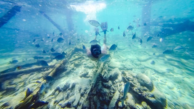 Deserted Island & Hungry Tarpon in the Upper Keys