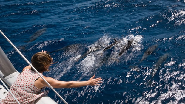 Bye Bye Bahamas – Sailing To Florida