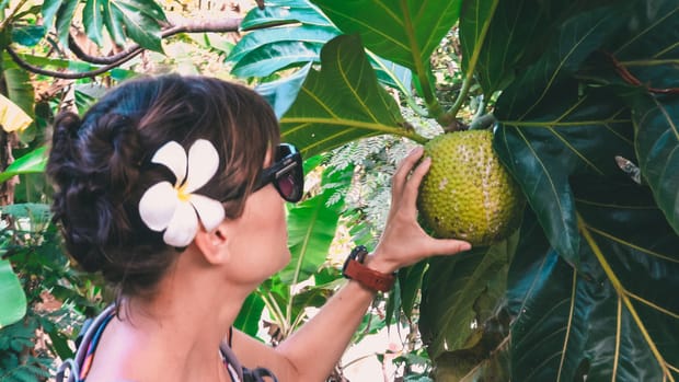 Our First Taste of Land – A Walkabout Hiva Oa