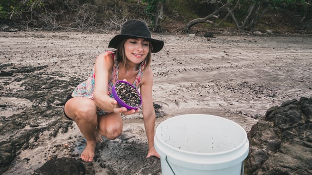 Cat Litter Conundrum & The Beach Sand Experiment