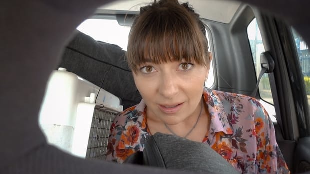 We Almost Didn’t Make It! Canceled Flights, Detained & Lost Cats