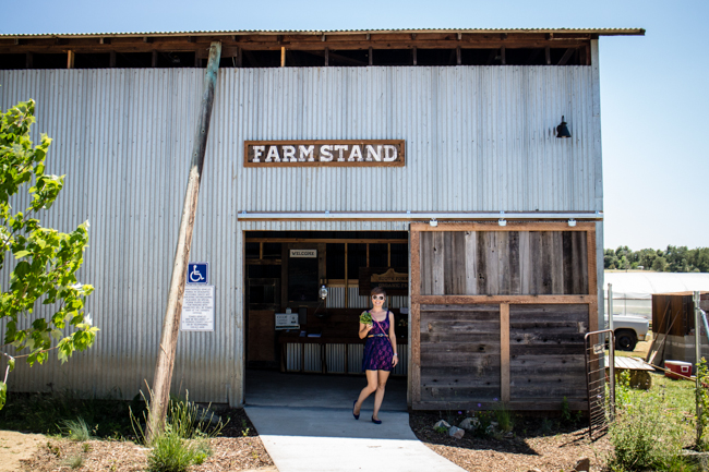 organic farm stand