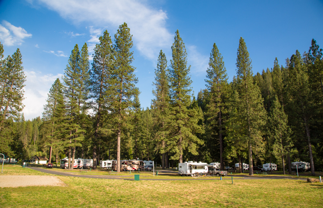 best campground near Yosemite