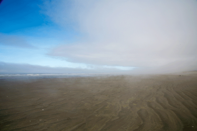 fog beach ocean shores