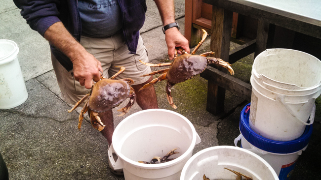 crabbing in washington