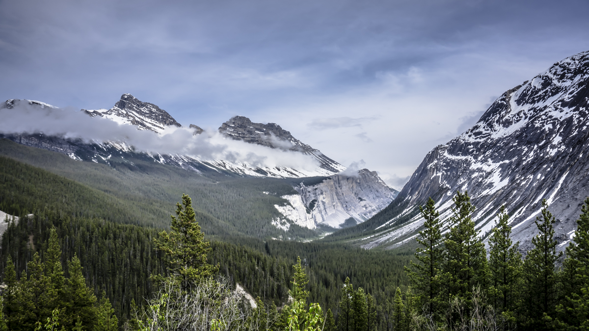 Canadian Rockies National Park 
