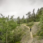 hiking miles canyon trail