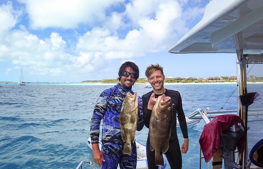 freediving and spear fishing in the bahamas