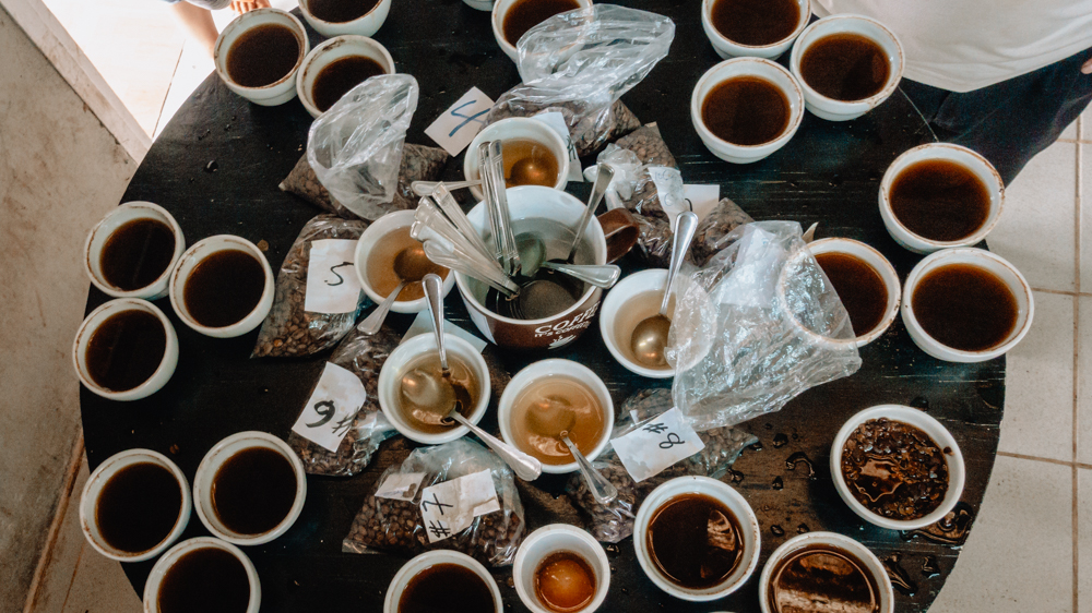 Experiencing Geisha, The Most Expensive Coffee In The World