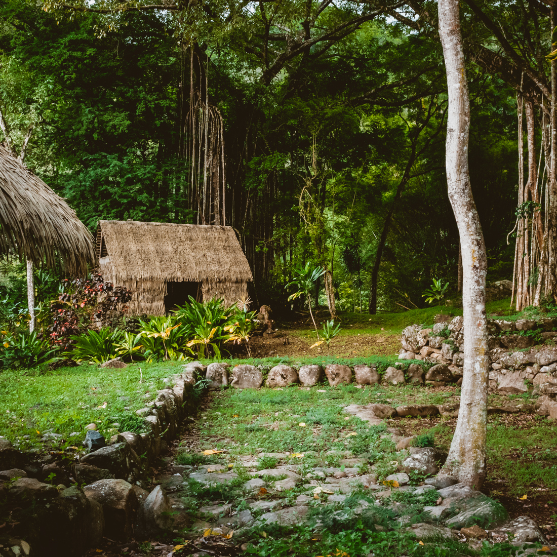 ancient archaeological site of Tohua Koueva in Nuku Hiva Marquesas