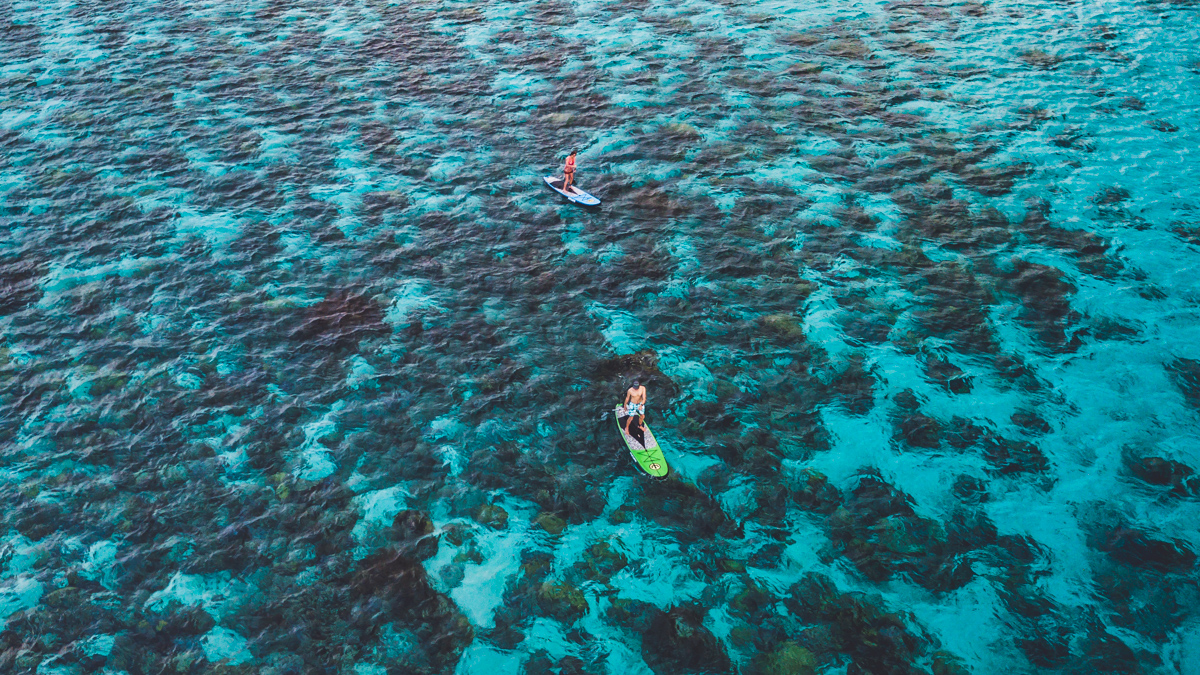 family sailing and SUP adventures in the south pacific
