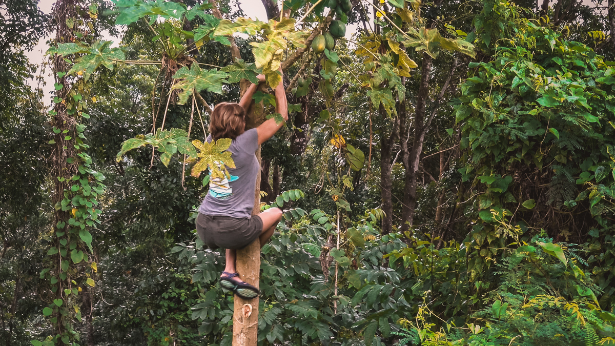 Mom goes wild in the jungle climbing up a papaya tree