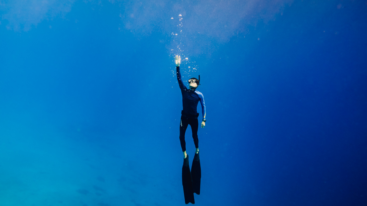 jason wynn freediving adventures in the south pacific