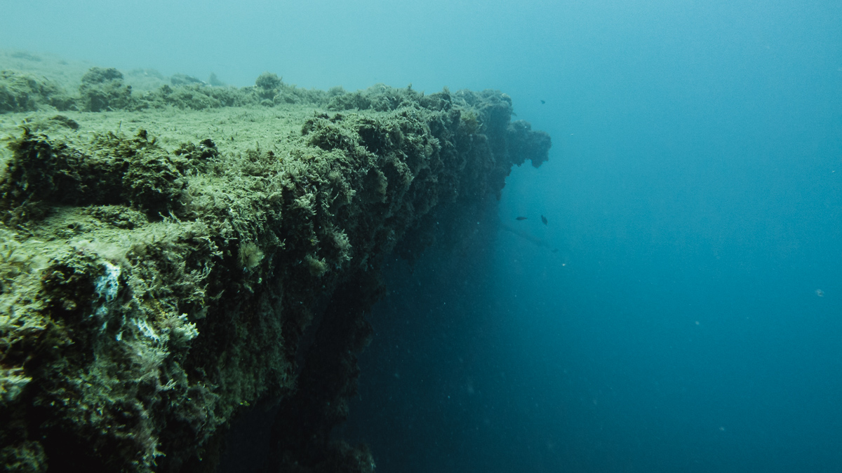 nikki wynn scuba diving a shipwreck in raiatea french polynesia