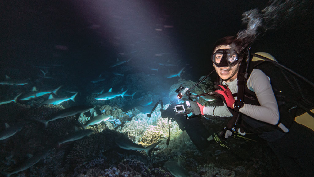 nikki wynn swimming with sharks in fakarava french polynesia