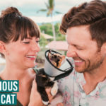 famous fiji cat that raised $28,000 with Jason and Nikki Wynn
